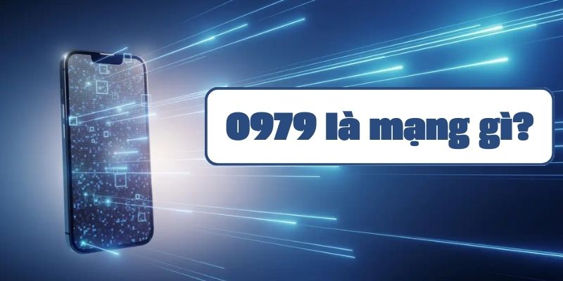 0979 là mạng gì? Đầu số 0979 có đẹp không