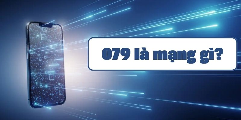 079 là mạng gì? Đầu số 079 có đẹp không?