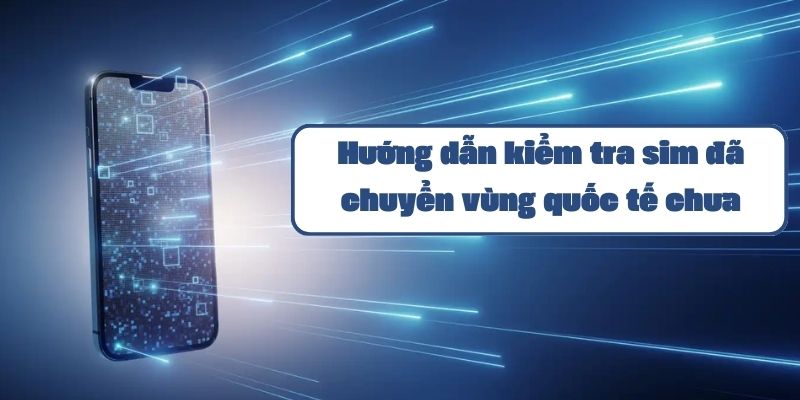 Hướng dẫn cách kiểm tra sim đã chuyển vùng quốc tế chưa Mobifone 2024